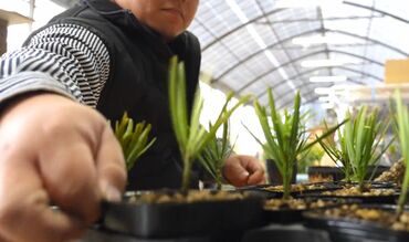 自然いっぱいのなかでリフレッシュしながら働ける♪
お花に向き合い、ストレスフリーで働きましょう!