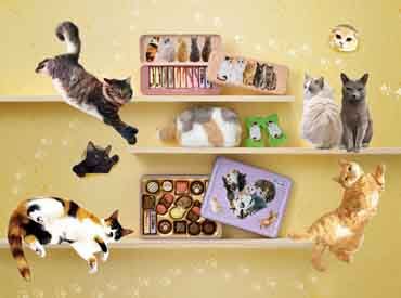 1人で不安な人はお友達と一緒に応募OK！
みんなで楽しくバレンタインを盛り上げましょう♪