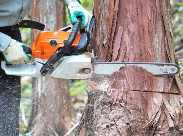 知識や経験は不要！
"知らない仕事"だからこそ、
先入観ゼロで飛び込んできてください◎
※画像はイメージ