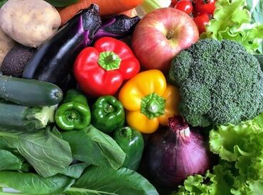 株式会社ヒューマントラスト 札幌支店（お仕事No.HDW-2618） 【ヒューマントラストの特徴】
大手・外資系企業などの優良企業を中心に
様々な職種や業界の中から
ぴったりのお仕事をご紹介♪