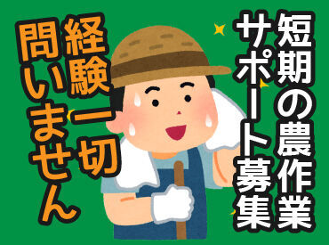 紹介元：株式会社アルメイツ　松本市 まずはあなたの希望をお聞かせください◎経験を活かしたい/未経験から挑戦したいetc.お気軽に相談OK！
※画像はイメージ