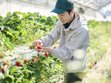 紹介元：JA香川県無料職業紹介所『アグリワーク』　（紹介先：木田郡エリアの農家） ◆◆ 未経験さんも大歓迎 ◆◆
JA香川県が運営する
無料職業紹介所『アグリワーク』が
あなたのお仕事探しを応援します！