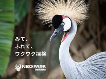 現在活躍中のスタッフは
楽観的な方や細かいことが気にならない方が多いです!
だから馴染みやすい環境♪