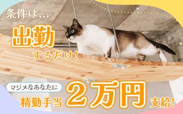 居心地の良さが自慢の職場♪
事務デビューやブランク復帰も大歓迎！
あなたらしく働けます★

