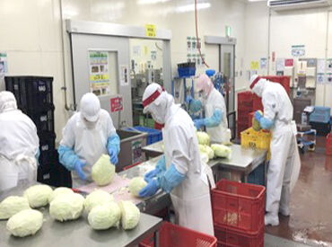 株式会社 日本アグリネットワーク カットや皮むきなどのモクモク・シンプルWORK★
主婦やフリーターなど、さまざまな年代の方が活躍中！
*＊未経験大歓迎＊*