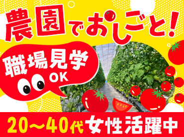 野菜が好きな方・農作業に興味がある方も大歓迎★
難しいお仕事は無いのでご安心ください♪