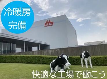 1食300円台で利用できる社員食堂、
個人ロッカーや休憩室、空調完備の
清潔な職場で"超"充実♪