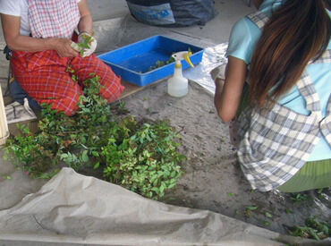 真鍋庭園苗畑 まずはお話だけも大歓迎です！
4月から一緒にやってみましょう♪