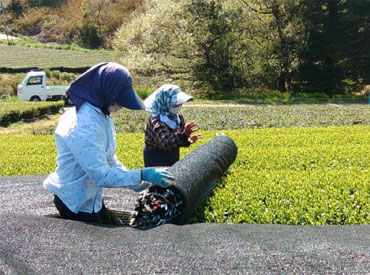 茶工房かはだ ＜40代～60代活躍中＞
1日2時間から勤務OK！家庭都合もしっかり考慮◎
たくさん働きたいなど何でもご相談ください！