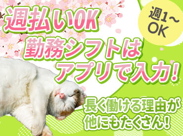 ＼効率よく稼ぐなら、”シンテイ”へ!／
スマホで簡単シフト申請！
「明日休みだけど、暇だなあ」
シフトに入って稼いじゃおう♪