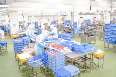 未経験の方も安心してスタートできる「研修制度」も利用可能!