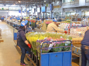 \午前中にお仕事終了/
洗濯やお迎え、夕飯準備…
午後はアレコレ忙しい!
そんな方にもおススメです★