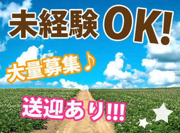 佐藤農場 お仕事内容は大根の選果や管理など！
未経験大歓迎！農業の経験や知識がなくても問題ありません♪
