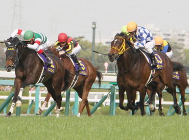 「競馬場に行ったことがない」という人も
「競馬がスキ！」という人も大歓迎♪
≪大学生≫が中心となって活躍中です。