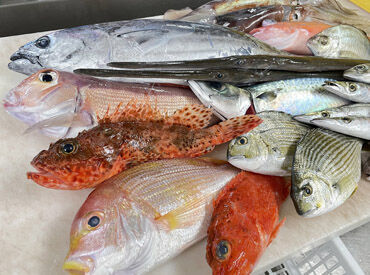 30名のスタッフが在籍！
常時10名以上が店内にいるので未経験でも安心★