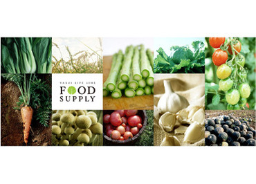 \カンタン×安定収入★/
大人気の《野菜・フルーツ仕分けスタッフ》大募集!