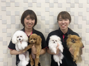 PET　SHOP　MURAKAWA　 アミーゴ多治米店 もふもふな犬や猫に囲まれて毎日幸せ気分で働いてます！
いっそ…自分のものにしちゃいたい！なんて思ったり♪ 笑