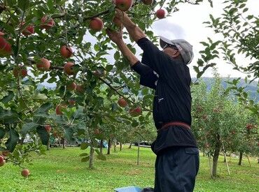 宮川商店株式会社 土に触れ、季節を感じる毎日へ♪
青森自慢のりんごを通して「おいしい！」を届ける仕事です。