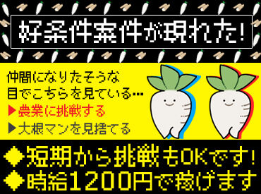 体を動かす仕事がしたい/農業に興味がある etc...
そんな方にピッタリ♪
イチから丁寧にお教えします◎
※画像はイメージ