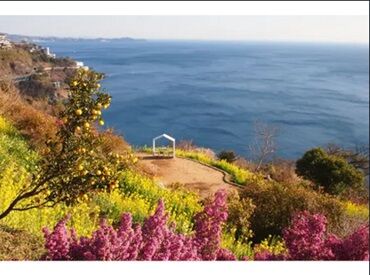 ACAO SPA & RESORT 熱海市で働こう♪
気になったら、お気軽にご応募ください◎