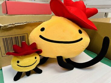 手順はシンプル♪
店舗ごとに決まった個数の食品を仕分けるだけ!
力仕事少なめで足腰の負担も安心☆
幅広い年代の男女活躍中!