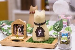 雑貨屋さんのような、
おしゃれな雰囲気のお店です☆＊。
大型連休にシフトインできる方歓迎♪