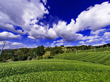 株式会社　エイドテック ＜完全日払い＞働いたその日にお給料をGET★
長期休み期間中など、出費が増えても大丈夫♪
とーーーっても助かるバイトです！