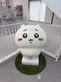 <プチ・ミー 平和通り店>
雑貨屋さんで働くのが夢だった！そんな方大歓迎です★
かわいいに囲まれて楽しく働きましょう♪