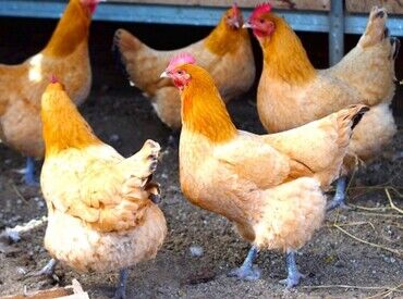 研修制度ありで未経験でも安心スタート!
学歴不問&幅広い世代が活躍中です◎