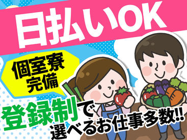 株式会社ファミリアワーク 主婦(夫)さん、フリーターさんから
ミドル･シニア世代まで皆さん活躍できる
お仕事を豊富にご用意しています★