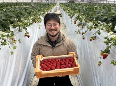 6ヶ月間の短期(毎年12月~6月の繁忙期)の方も同時募集中!
「毎年繁忙期だけなら手伝えるよ!」という方もお問い合わせを♪