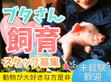 有限会社ピックファーム室岡　勤務地：南陽農場 三元交配豚である「米澤豚 一番育ち」
肉の柔らかさ、甘さ、脂の旨味のバランスが良く
さっぱりとした豊潤な味わいが特徴です◎