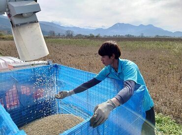 モノ作りが好き!農業が好き!
自分が作った作物で誰かに幸せと
美味しさを届けられる職場です♪