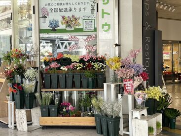 たくさんの花に囲まれた職場☆彡
市場に出回らない珍しい花にも出会えますよ♪
20代~30代前半のスタッフが多数活躍中!