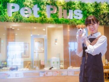 ワンちゃん・ネコちゃんに囲まれて働こう♪
毎日動物たちの成長や仕草に癒されながら働けるので
動物が好きな方にピッタリ◎