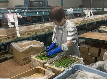 JA福岡くるめ　園芸流通センター 定年退職後に体を動かしたい♪
そんなスタッフさんも多数活躍中！
いろんな作業があり体に無理なく働ける★
