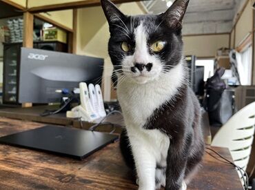 株式会社山東農園 猫好きさん必見★動物好きな方も歓迎！
少人数オフィスで居心地バツグンです♪