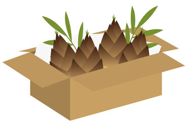 コツコツ作業したい方にピッタリのお仕事です!スタッフのほとんどが未経験スタートです★