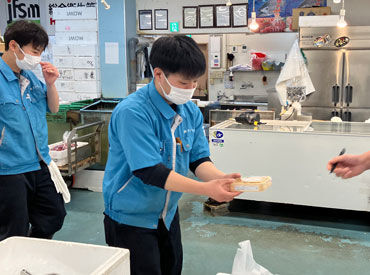 作業の流れは先輩スタッフが1から丁寧に指導します。
働きながら、魚の知識・目利き・加工技術が身につきます！