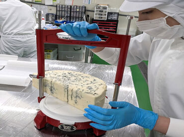 株式会社プログレス ＼掲載終了間近／
― 近所から通勤する主婦さん活躍中 ―
"土日休み&日中のみ"なので家事やWワークとの両立◎