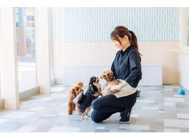 トリマー経験のある方歓迎です◎
資格がない方でもご相談してくださいね♪