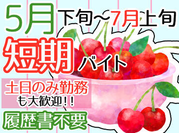 有限会社石山青果 短期1ヶ月×高時給1100円～★
短時間から無理なく&効率よくお仕事できます♪
