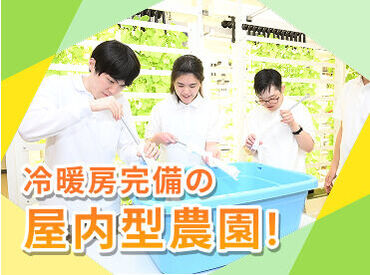 ソーシャルファーム わーくはぴねす農園Plus 名古屋第2【求人番号13341】 重い機材などは使わず、安全に栽培できる装置を採用しています◎