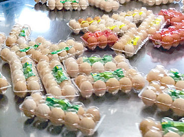 冷暖房完備でこの夏場も快適に作業できます♪
皆さまのご応募をお待ちしております!