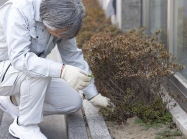 日本ハウズイング株式会社（勤務地：浜松市中央区宮竹町エリア)※物件No.1014083 60～70代のシニア世代活躍中！直行直帰OK◎
接客はほとんどないので、久々のお仕事復帰にもピッタリ♪
※画像はイメージ