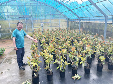 天久園芸 観葉植物を育てるレアな仕事！日々少しずつ成長する姿に、私たちまで心穏やかに♪育った観葉植物は東京や大阪で販売されます！
