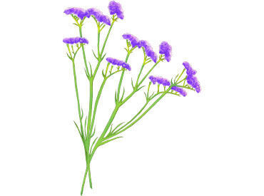 生花の下処理や仕分け作業で
お花の知識も自然と身につきます♪
<未経験OK>先輩から丁寧に教えてもらえます!