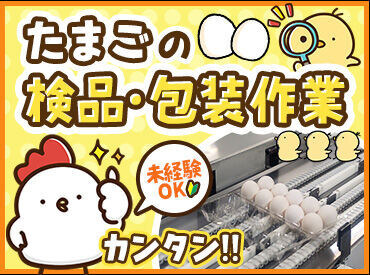 株式会社山岸要商店 「畜産関係のお仕事は初めてです」
そんな方も大歓迎★イチからお教えします♪
にわとりから産まれた卵を大切にパック詰め