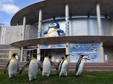 長崎ペンギン水族館 ＼水族館でマルチなお仕事！／
可愛いペンギングッズ販売から事務作業まで様々◎
バイトデビューから大歓迎♪