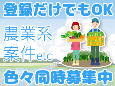 株式会社アシストワン 覚えることは少なめ◎
あなたがストレスなく働ける案件をご紹介します◎
短期も気軽にご相談くださいね！